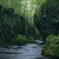 The moss river
