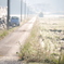 country road