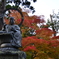 松島　瑞巌寺