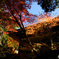 西明寺
