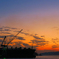夕暮れ