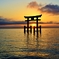 湖中鳥居に昇る朝日