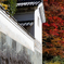 蔵と紅葉