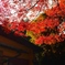 三千院 紅葉