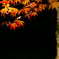 紅潮するまであと少し...