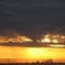 昏