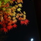 紅葉月夜