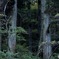 31319F3F-CE16-4F5D-8857-91209B6549AD