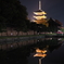 東寺 2017 秋のライトアップ
