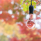 紅葉電球