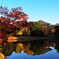 大仏池の紅葉2017