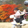紅葉の公園で