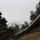 塔