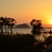 湖北秋の夕景　台風の爪痕