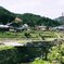 京散歩12