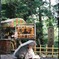 かさねこ