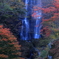 白滝紅葉