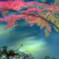 水辺の紅葉　
