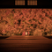 安国寺1
