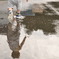 雨上がり