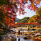 紅葉は見ごろ