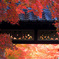 紅く
