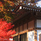 紅葉狩り