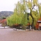 円山公園