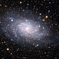 M33 さんかく座の銀河