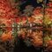 鏡面紅葉