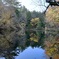 奥三河の紅葉②