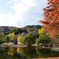 のど声公園にて