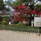 11月19日法隆寺