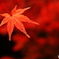炎上