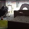 グチときーもの鼻チュウ～