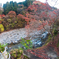 紅葉の季節