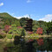 瑠璃光寺_紅葉