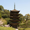 瑠璃光寺_春