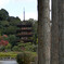 瑠璃光寺_秋
