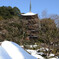 瑠璃光寺_冬