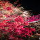 Glamorous Autumn Night