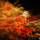 Autumn color