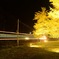 photo_7287357
