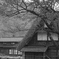 五箇山