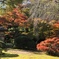 小石川後楽園