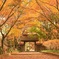 orange〜金蔵院〜