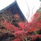 書写山円教寺-3