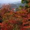 紅葉の先には