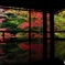 瑠璃光院