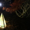 森林公園　もみじ園
